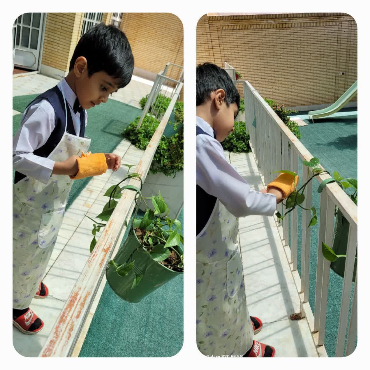 پیش دبستانی ستوده